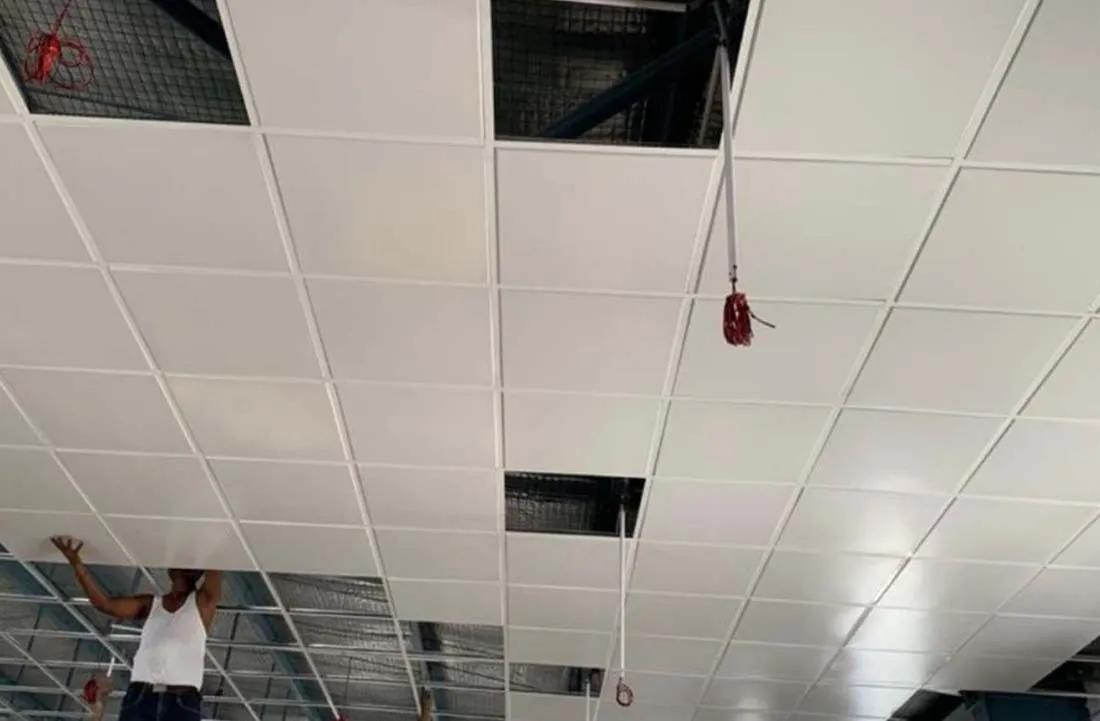 Swimming Pool Cleaning